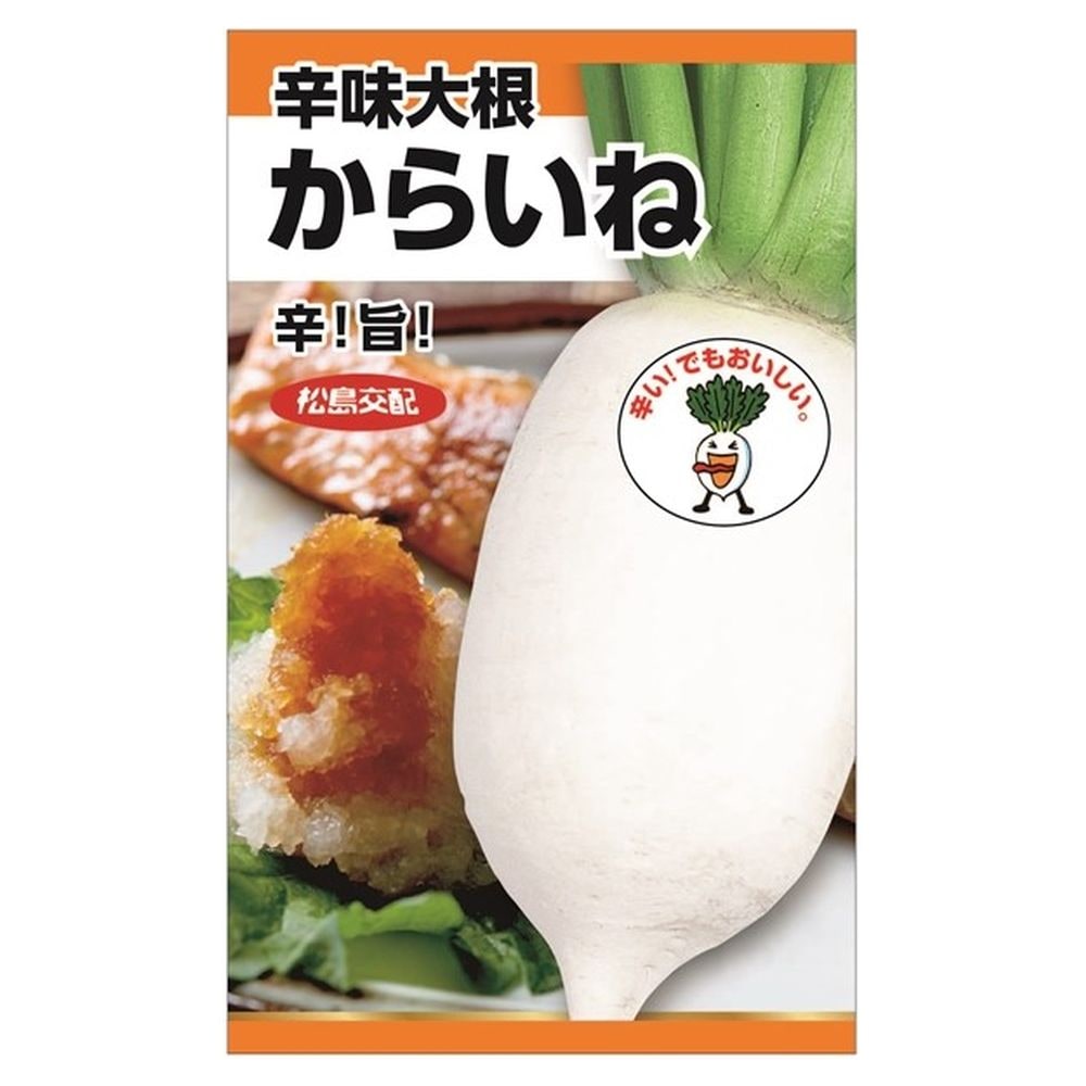 たまねぎ！イギリス！ベジタブルトイ15種コンプセット！ 楽天市場】たまねぎ 【泉州黄玉ねぎ(お徳用パック)】 種・小袋