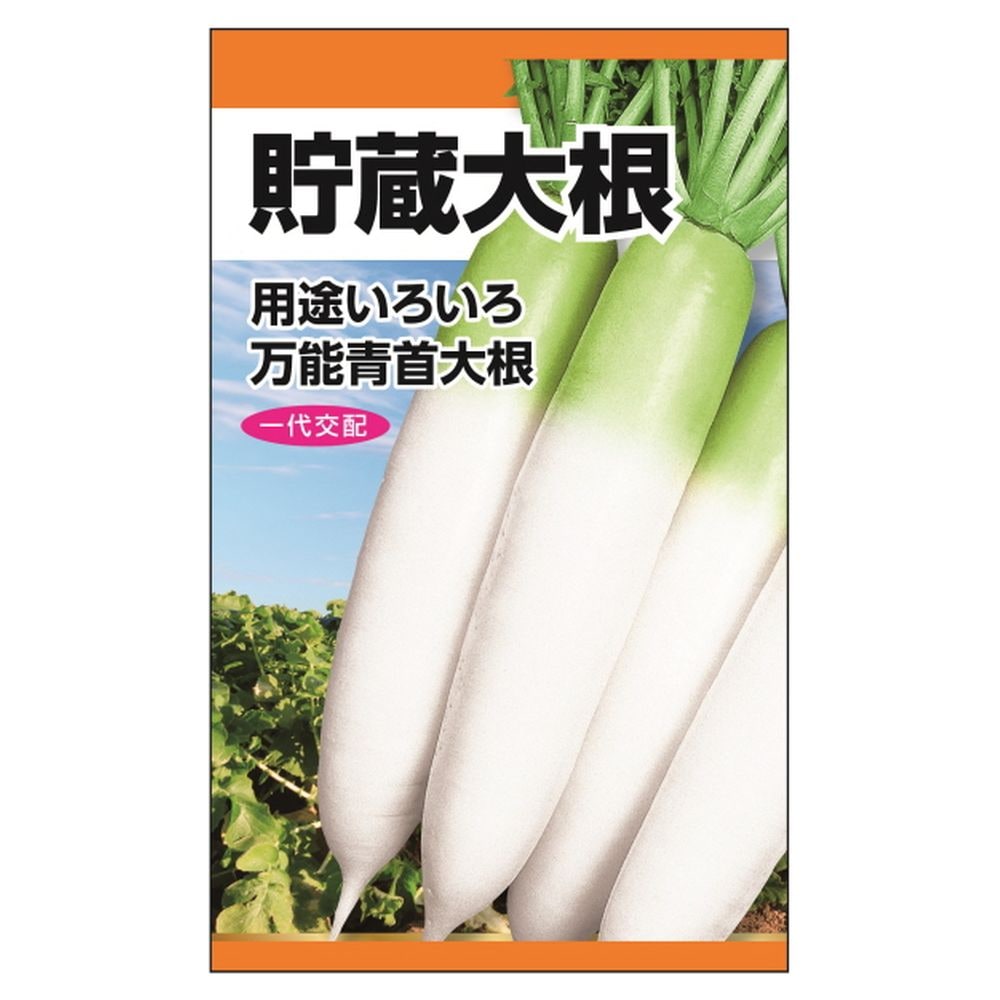 楽天市場】大根 【万能おろし大根（おろし二号大根）】 種・小袋 （1.5