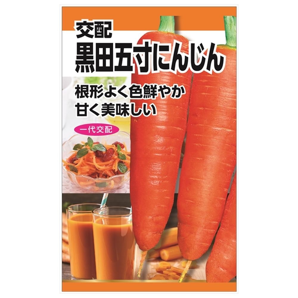 クソニンジン 30g✖️２袋 CAINZ-DASH】日新インダストリー スーパージンク 1Kg SP002