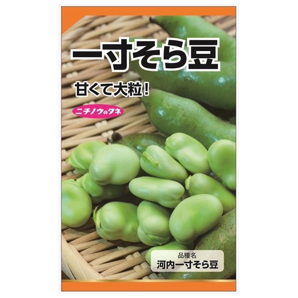 楽天市場】【大葉高菜】 種・小袋 （6ml） 固定種 : 苗木部 by