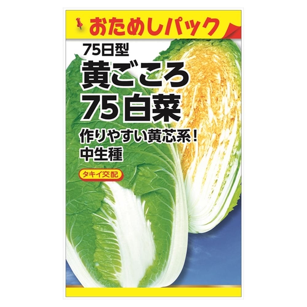 白菜 楽天市場】白菜 【タキイ交配 錦秋白菜】 種・小袋 （1.5ml） F1
