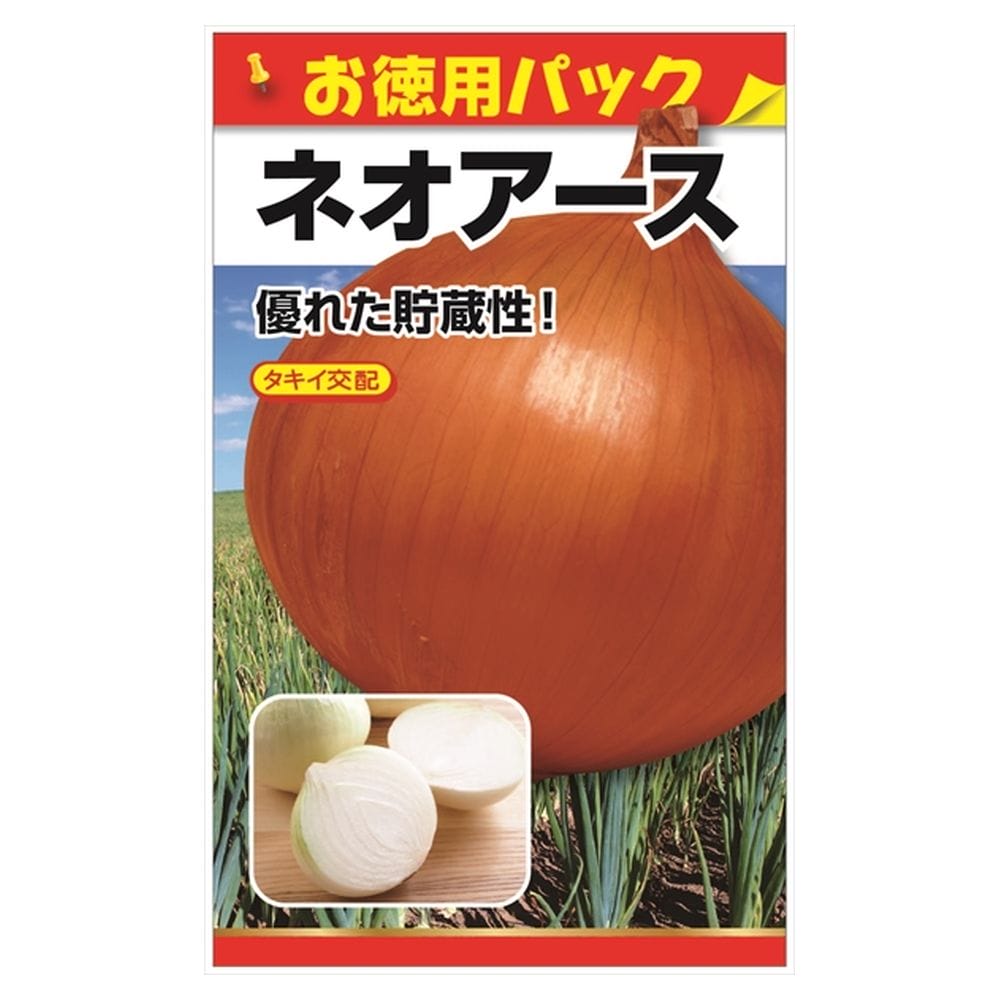 玉ねぎ苗　ネオアース　2000本 今期完売！沢山のご注文ありがとうございました！】野菜の苗 中
