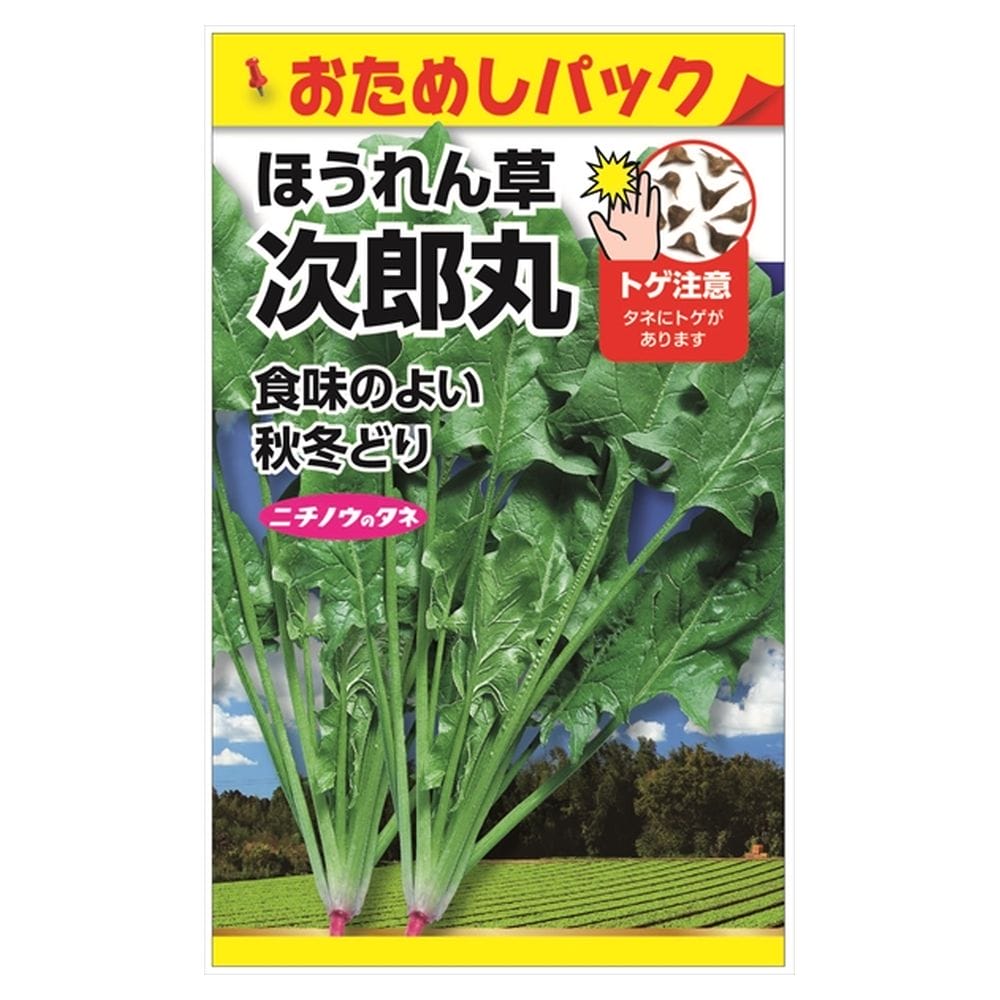 ほうれん草 楽天市場】ほうれん草 【初夏ほうれん草】 種・小袋 （20ml） F1