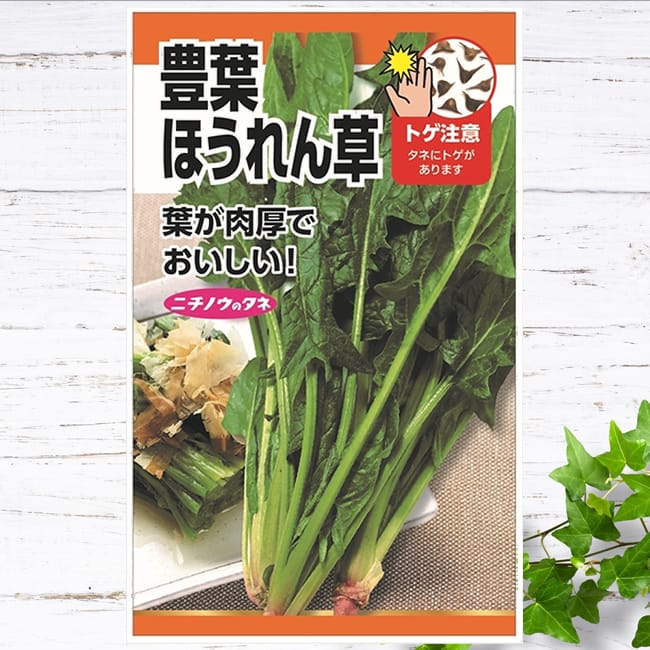 ほうれん草 F1春まき 日本ほうれん草 晩抽やまと | 花＆グリーン 通販
