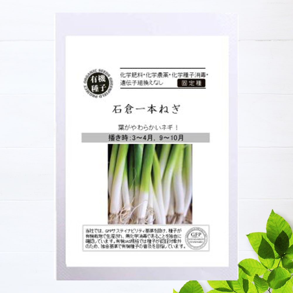 楽天市場】ねぎ 【松本一本太ねぎ】 種・小袋 （5ml） 固定種 : 苗木部