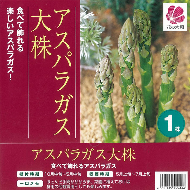 楽天市場 野菜 アスパラガス 大株苗 植え付け時期11月下旬まで 苗木部 ｂｙ 花ひろばオンライン