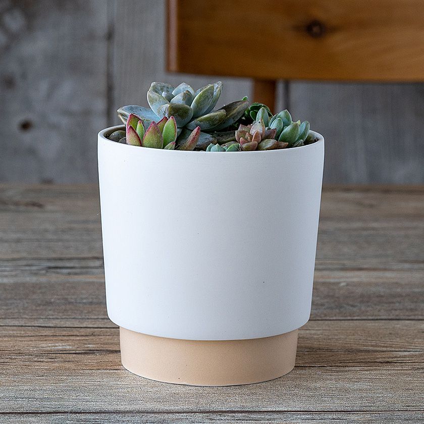 楽天市場】【スーパーセールクーポン配布中】ground グラウンド