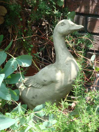 15004円 2021新発 あひる アニマル イングリッシュ 英国ガーデニング ガーデン 雑貨 ストーン製 English Duck