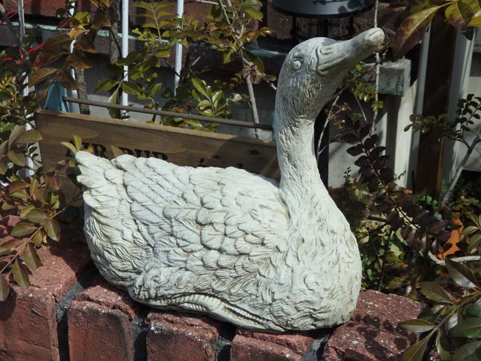 楽天市場】ガーデニング ガーデン ポット 寄せ植えスワン バード