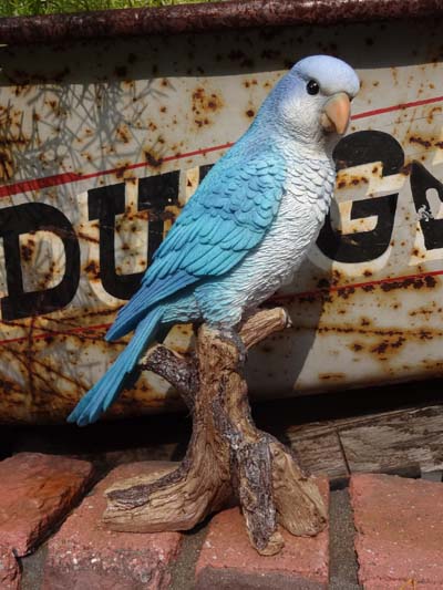 楽天市場】鳥の置物◇セキセイインコ・ブルー 大◇動物オーナメント