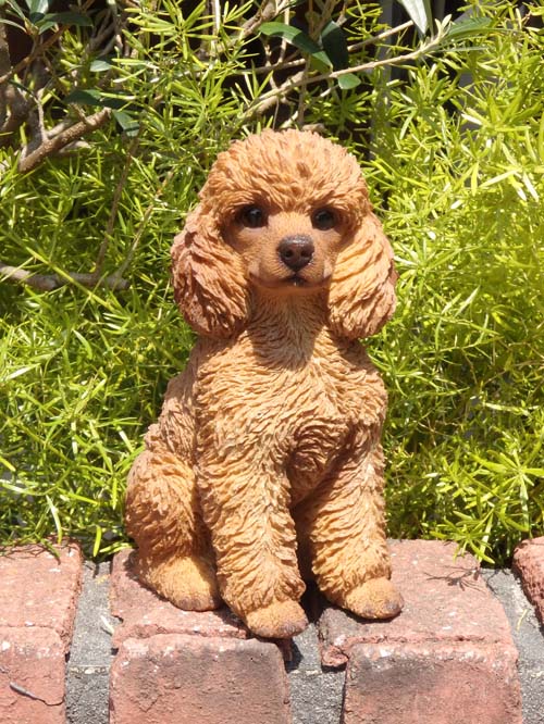 楽天市場】犬の置物 プードルBタイプ お座り ワンちゃん いぬ