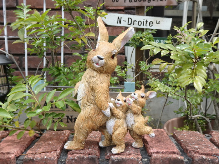 Saidai No Waribiki ウサギ 雑貨 New カントリー ガーデンオーナメント 置物 Jp Belleharmony Com Br