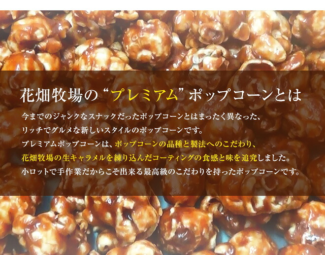花畑牧場 生キャラメルプレミアムポップコーン 生キャラメル 1ケース 100g 32袋 冷蔵配送