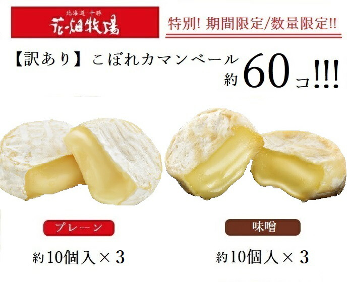 送料無料お手入れ要らず 花畑牧場 訳あり こぼれミニカマンベール1,500ｇ 約60個 プレーン約30個 味噌約30個  turbonetce.com.br