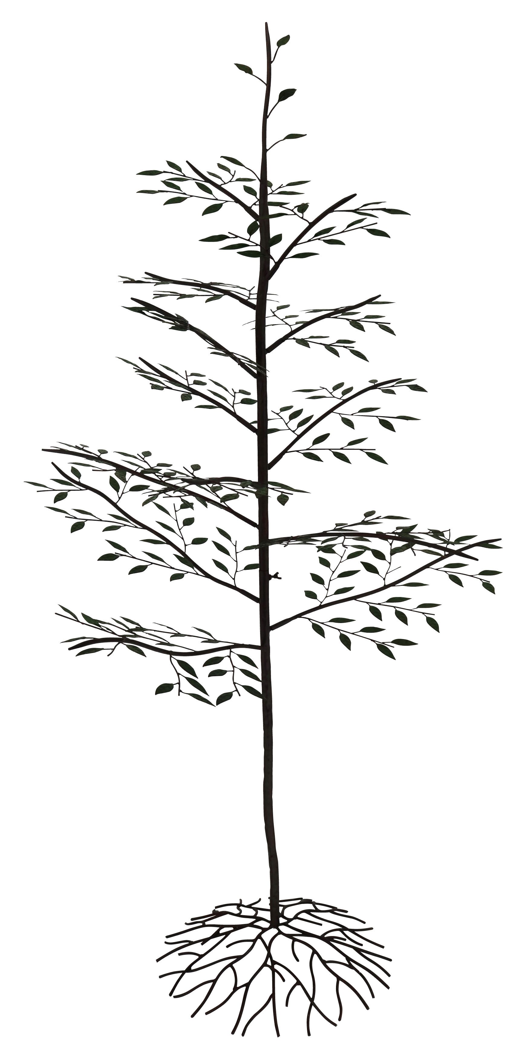 86752 アイアン天然木（大）