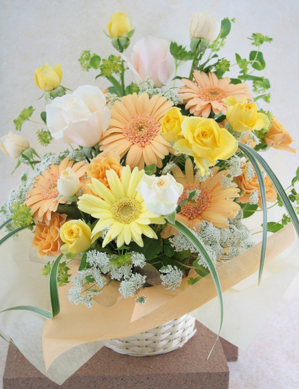Today'sアレンジMサイズ  生花 フラワーアレンジ お誕生日お祝い 御祝 花束 結婚祝 開店祝