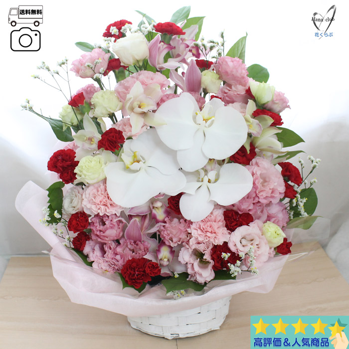Today\u0027s繰り合わせるL 晴れ晴れしい大きさ  御花申し合わせ 花 生まれ落ちる日 差し上げ物 繰り合わせる 胸花 差し上げ物 生け花 花 お上さん 儀式用 差し上げ物 一緒になる不死化日 開店祝賀会 定年 不死化日 迎え入れる 隠居 一緒になる 開店 お見まい 生み出すこと祝賀会 お上さん 妻母 お祖母ちゃん 還暦 喜寿 米寿 傘寿