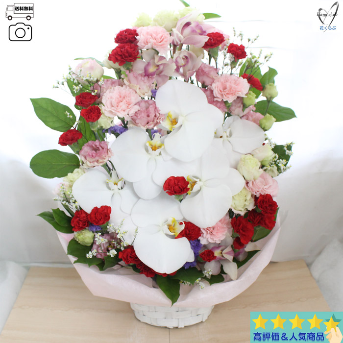 Today'sアレンジL　デラックスサイズ コチョウラン1本入(5リン以上)確約 フラワーアレンジメント 花 誕生日 ギフト アレンジ 花束 プレゼント 生花 花 女性 お祝い プレゼント 結婚記念日 開店祝い 定年　記念日 歓迎 退職 結婚 開店 お見舞い 出産祝い 女性 妻母 祖母 還暦