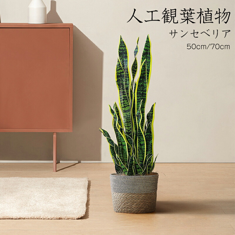 人工観葉植物 フェイク フェイクグリーン 大型 高さ 50cm 70cm 造花 北欧風 インテリア 室内 屋外 オフィス 在宅 フェイク植物 水やり不要 枯れない 盆栽植物 飾り用 撮影用 部屋飾り 鉢植 開店祝い 開業祝い 引っ越し 店舗装飾|Dusky Rose (ヘアケア・サプリ)