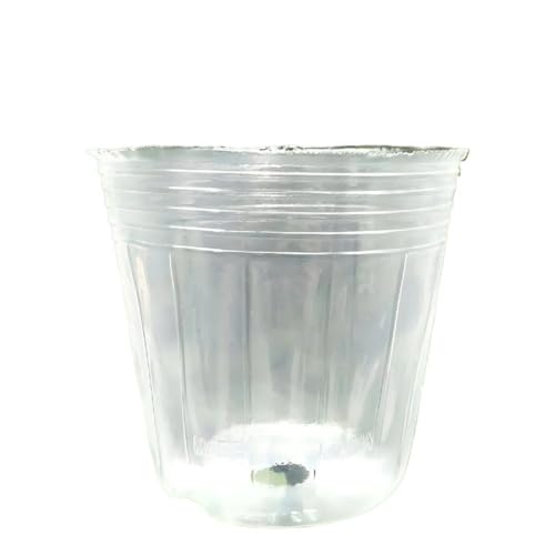 澄み切った育苗ポット 100個仕掛ける 水抜き穴付き添い人 可塑性物質苗優勝杯 多肉植物 蘭 観葉草木 蒔き付ける 萌え出す用 5大きさ選りわける Sexybala澄み切った育苗優勝杯 (10*10糎*【100個】) [並行輸入品]