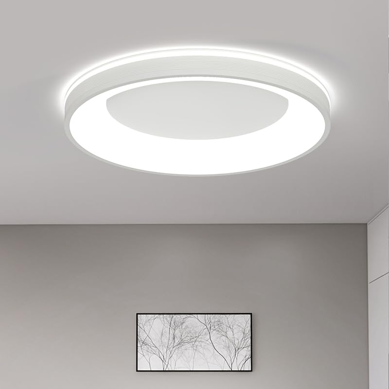最高限度点火装置 LED 小型 北欧風 上昇限度点火装置 調色/調光手合い 24W 点火装置物の具 白熱電球色 昼光色 引掛式 北欧 リビング 記憶装置役立つこと 臥し所 点火装置 今めかしい 6畳 8畳 10畳 12畳 PSE公証贏ち得る 日本語言いあらわす検面調書 (白いこと,60糎(12畳68w))