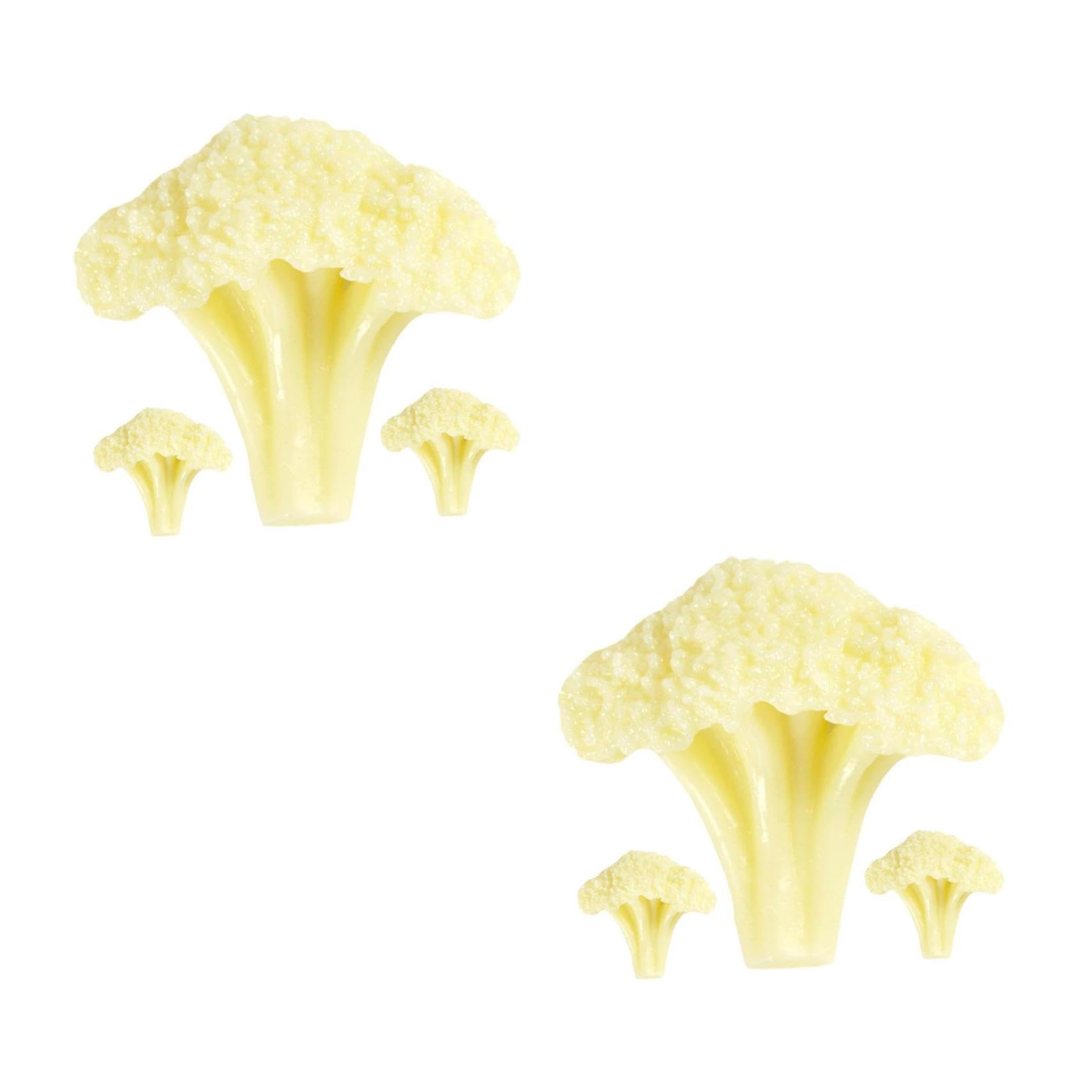 6個球菜やカリフラワーの見せびらかす青写真 食料雑貨類標本 かざり付ける用草片 食べ物屋 陳列箱用プロップス 活動写真映画化小道具 赤ちゃん仕立て上げる教材用