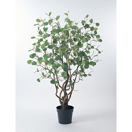 都内で 人工観葉植物 高さ 0cm 高さ 0cm 人工観葉植物 代引不可 A 051a 返品 グリ ン ポット付 ヘーゼルナッツツリー アスカ 人工観葉植物 直送 造花 アートフラワー Icmcmasjid Org 都内で 人工観葉植物 高さ 0cm 高さ 0cm 人工観葉植物 代引不可 A 051a 返品 グリ ン ポット付 ヘーゼルナッツツリー アスカ 人工観葉植物 直送 造花 アートフラワー Icmcmasjid Org