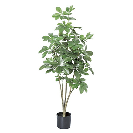 【人工観葉植物】アスカ/シェフレラポット　グリ－ン/A-50852-051A【01】 造花（アーティフィシャルフラワー） 葉物 造花・人工観葉植物 高さ～100cm フェイクグリーン インテリア 卓上 ミニサイズ コンパクト ディスプレイ 装飾 業務用 店舗装飾