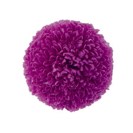 楽天市場 プリザーブド 大地農園 ポンポン菊 大 6輪 ラズベリー 261 01 取寄 プリザーブドフラワー プリザーブドフラワー花材 キク 菊 マム 手作り 材料 花材通販はなどんやアソシエ