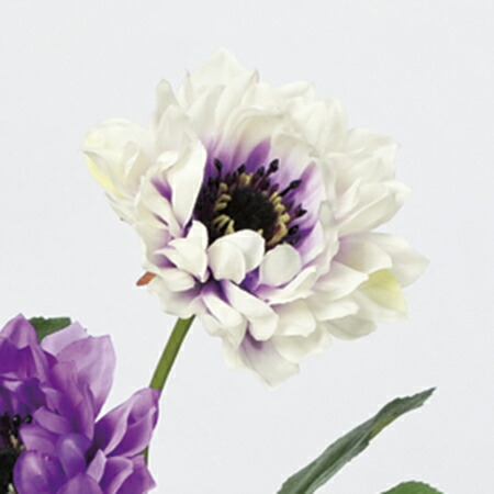 楽天市場 造花 アスカ アネモネ パープルホワイト A 007w 01 取寄 花材通販はなどんやアソシエ