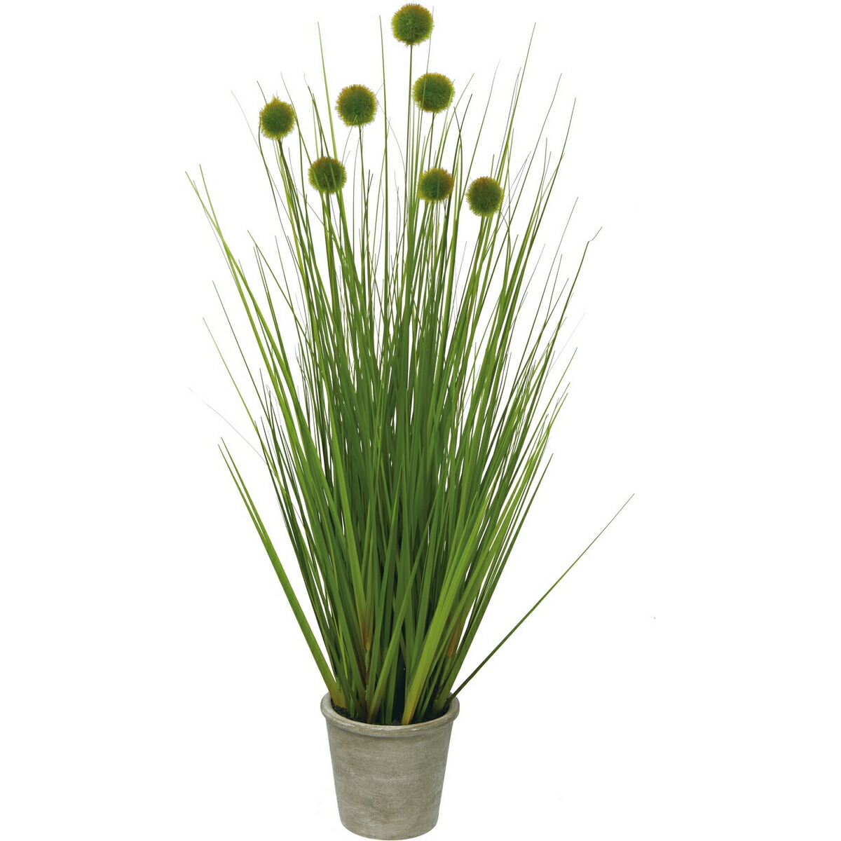 楽天市場】【取寄品】 フェイクグリーン 光触媒 ポンポングラス 120cm