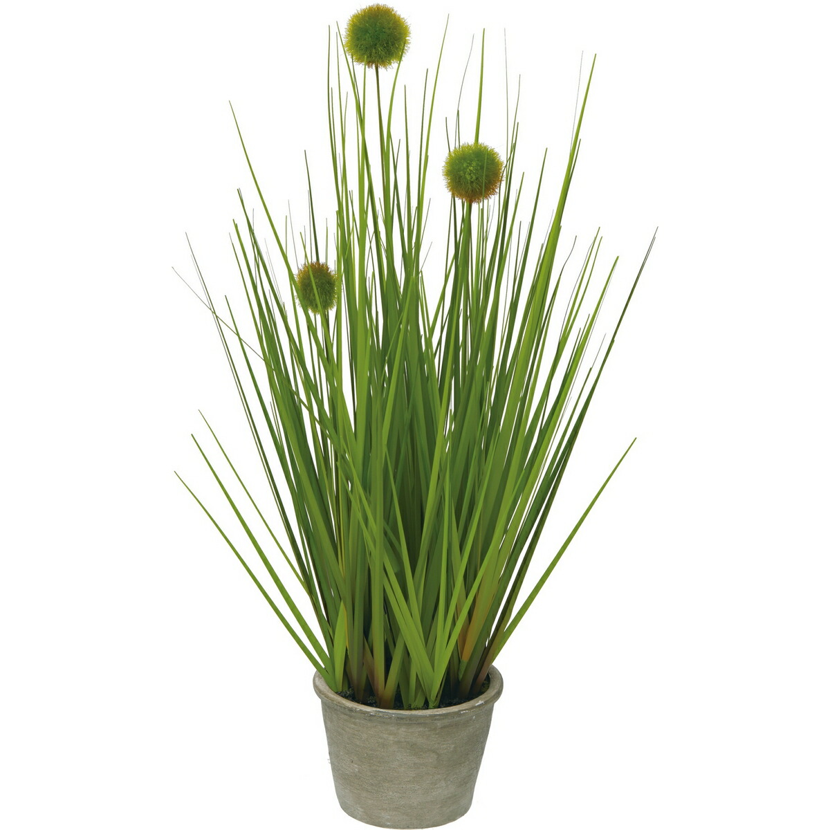 楽天市場】【取寄品】 フェイクグリーン 光触媒 ポンポングラス 120cm