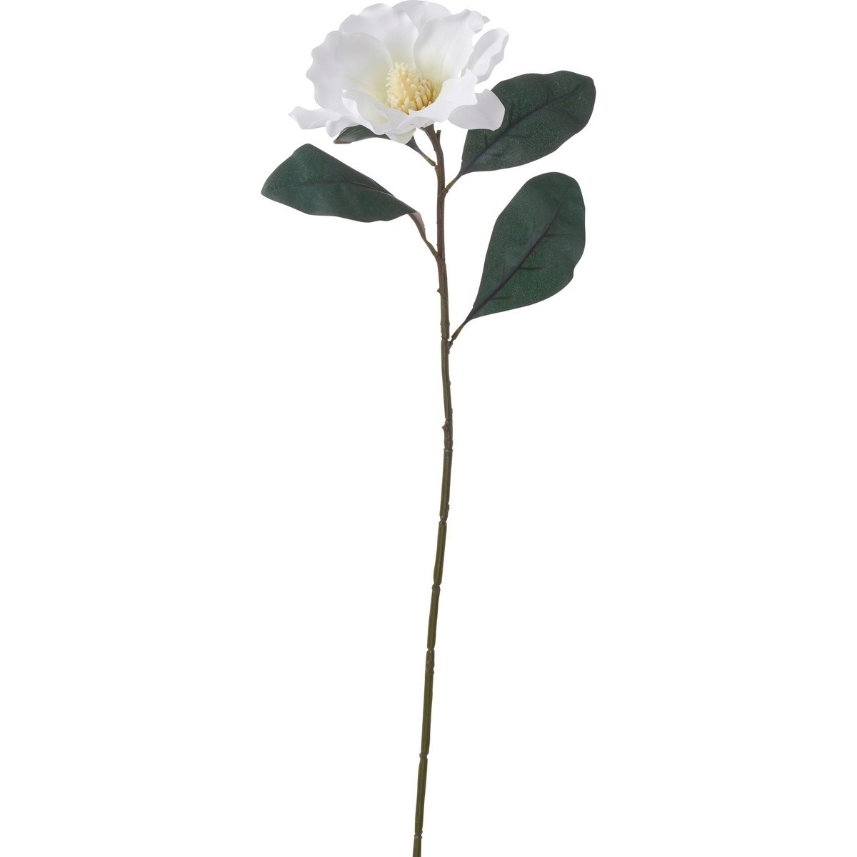 楽天市場 造花 Ydm マグノリア ホワイト Fa7038 W 01 取寄 花材通販はなどんやアソシエ