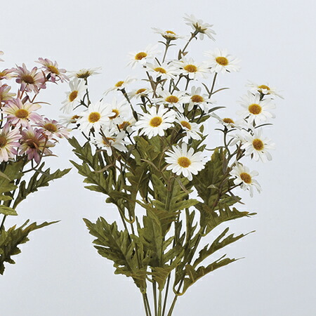 楽天市場 即日 造花 アスカ マーガレットブッシュ 27 クリ ムホワイト A 011 造花 アーティフィシャルフラワー 造花 花材 ま行 マーガレット 花材通販はなどんやアソシエ