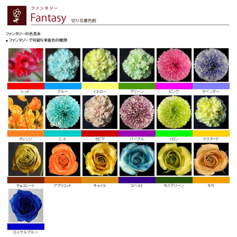 楽天市場 パレス化学 ファンタジー 1l グリセリン 01 取寄 花資材 道具 生花用資材 切花着色剤 花材通販はなどんやアソシエ