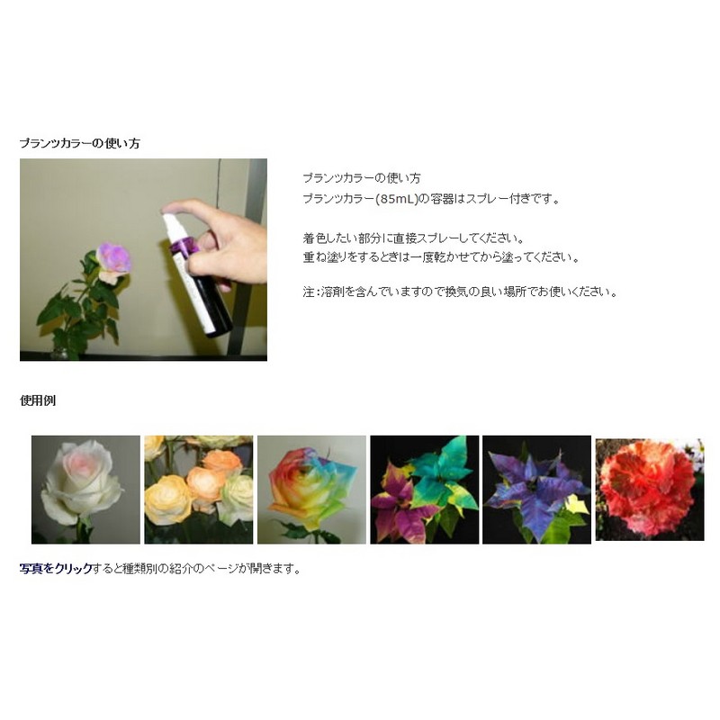 楽天市場 パレス化学 プランツカラー 85ml メロン 01 取寄 花資材 道具 生花用資材 切花着色剤 手作り 材料 花材通販はなどんやアソシエ 楽天市場 パレス化学 プランツカラー 85ml メロン 01 取寄 花資材 道具 生花用資材 切花着色剤 手作り 材料 花材通販はなどんやアソシエ