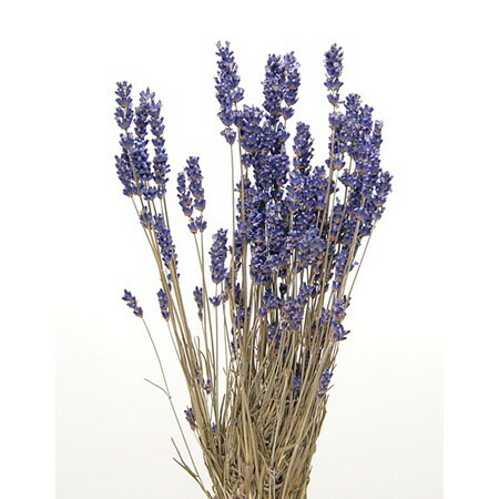 楽天市場 ドライ コアトレーディング ラベンダーeu 約30g ナチュラル 10 取寄 5束 ドライフラワー ドライフラワー花材 ラベンダー 花材通販はなどんやアソシエ