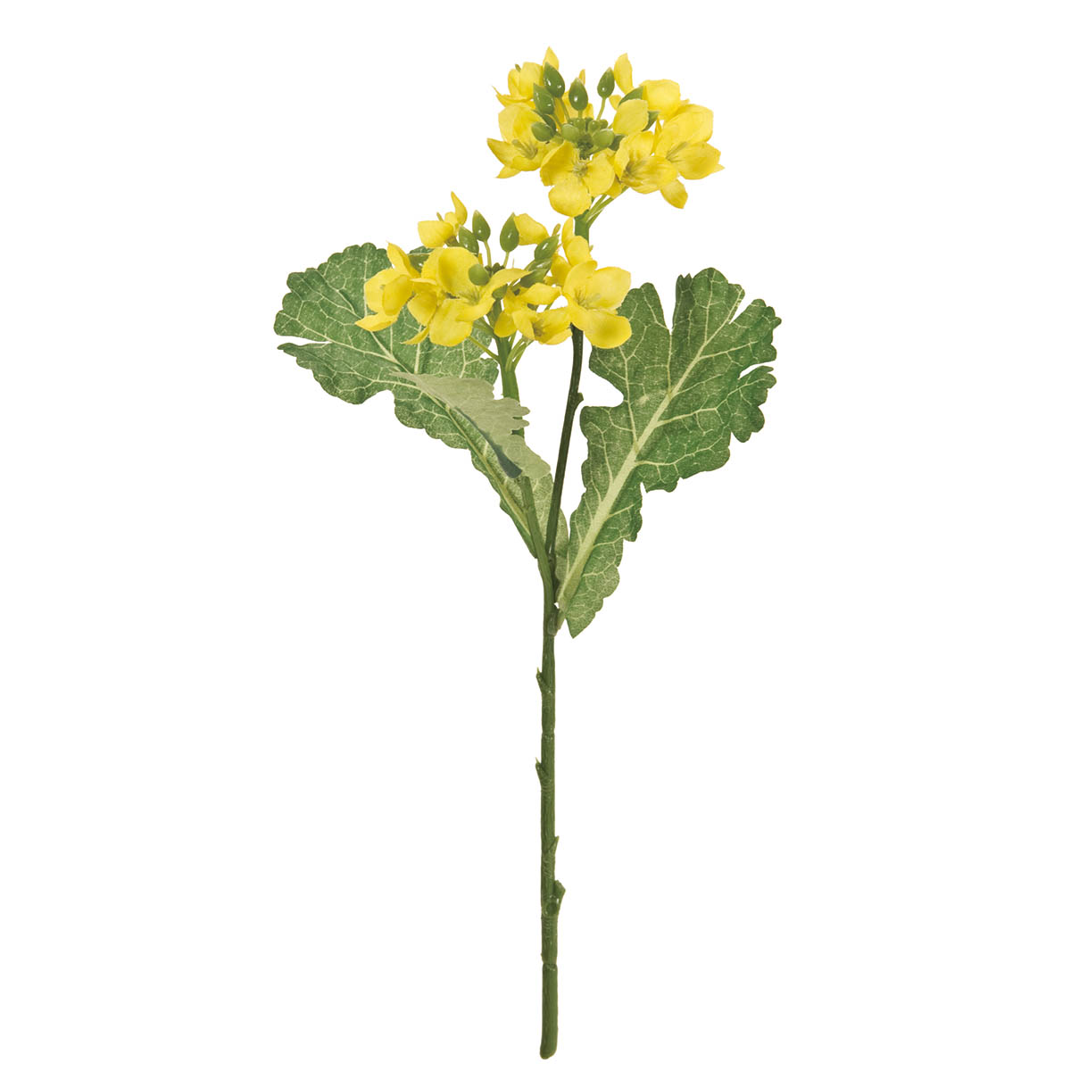 楽天市場】菜の花 造花（ナノハナ造花・なのはな） : フラワー