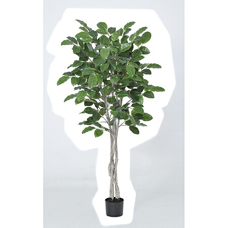 【直送】【人工観葉植物】アスカ/ジャイアントツリー #051A グリーン/A-50914-51※返品代引不可【01】 造花 葉物 フェイクグリーン 人工観葉植物 人工樹木 高さ~200cmおしゃれ インテリア 店舗 オフィス 装飾 ディスプレイ|花材通販はなどんやアソシエ