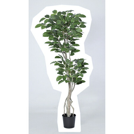 【直送】【人工観葉植物】アスカ/ジャイアントツリー ＃051A グリーン/A-50916-51※返品代引不可【01】 造花 葉物 フェイクグリーン 人工観葉植物 人工樹木 高さ～200cmおしゃれ インテリア 店舗 オフィス 装飾 ディスプレイ｜花材通販はなどんやアソシエ