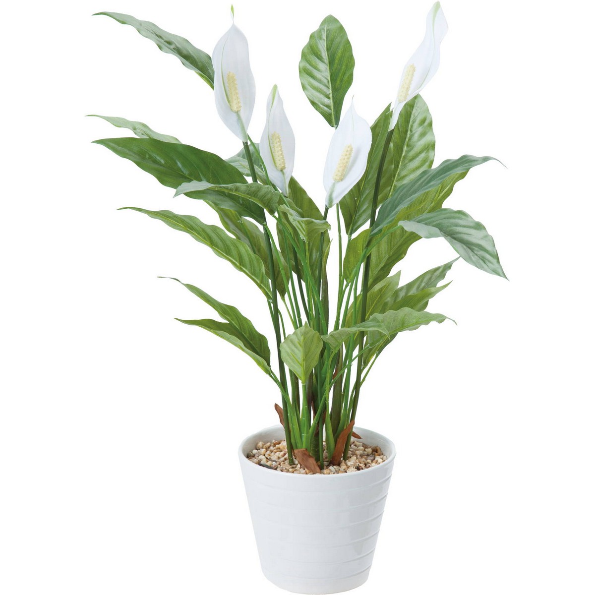 楽天市場 人工観葉植物 Ydm スパティフィラムポット グリーン Gla 1439 Gr 01 取寄 造花 アーティフィシャルフラワー 人工 観葉植物 高さ 100cm 花材通販はなどんやアソシエ