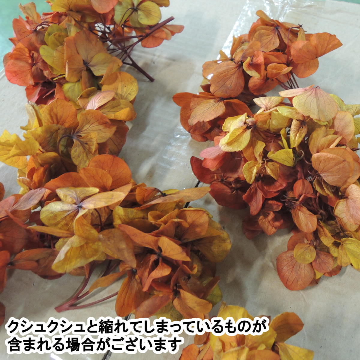 楽天市場 即日 プリザーブド ヴェルモント アジサイ レッド プリザーブドフラワー プリザーブドフラワー花材 あじさい 紫陽花 花材通販はなどんやアソシエ