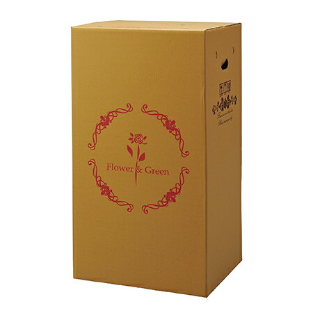 【直送】Gracias/宅配ボックス（横開きタイプ） 鉢物用 P-3/73103※返品・代引き不可【01】[15枚] ラッピング用品 、梱包資材 ダンボール・宅配袋 ダンボール包装用品 おしゃれ かわいい 成人式 母の日｜花材通販はなどんやアソシエ