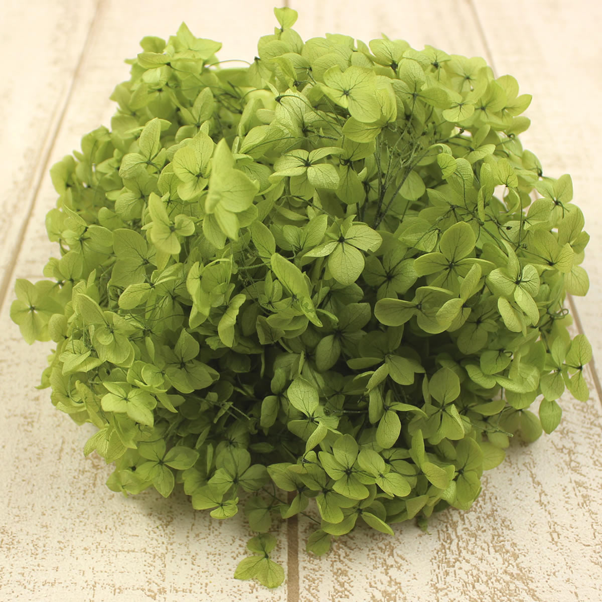 楽天市場 即日 プリザーブド あじさいプリザーブドフラワーss 約15g ライトグリーン K 136プリザーブドフラワー プリザーブドフラワー花材 あじさい 紫陽花 手作り 材料 花材通販はなどんやアソシエ