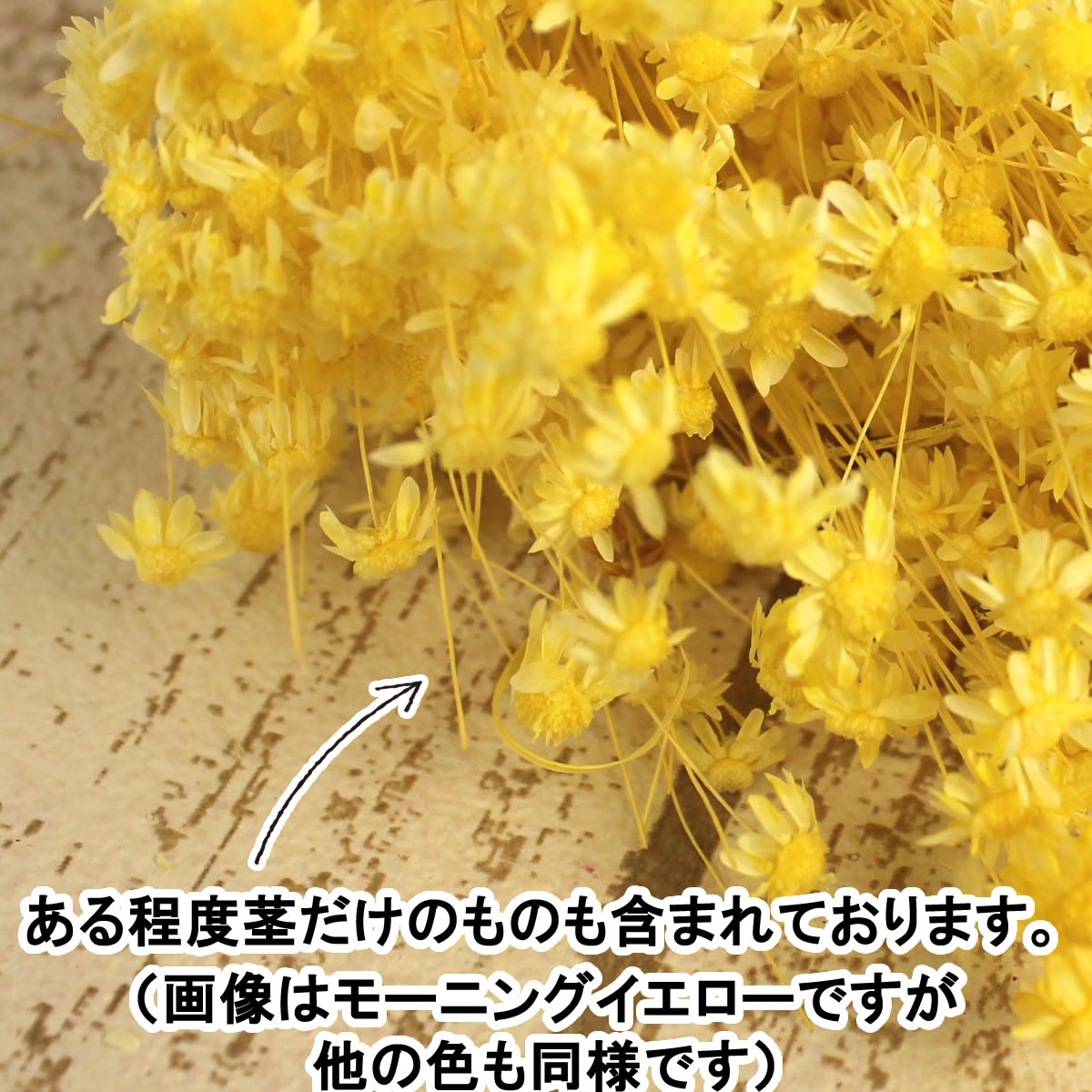 楽天市場 即日 ドライ 大地農園 スターフラワー ミニ ライトパープル 12ｇ 411ドライフラワー ドライフラワー花材 スターフラワー 手作り 材料 花材通販はなどんやアソシエ