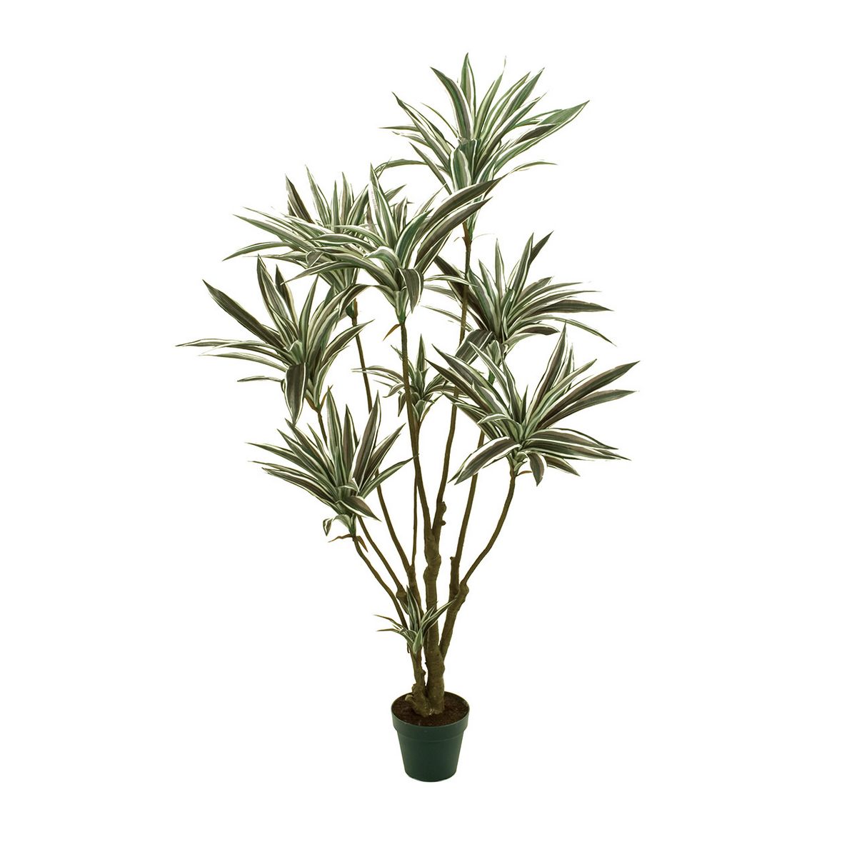 楽天市場 直送 人工観葉植物 Magiq 東京堂 ドラセナ Cr Gr クリームグリーン Fg 返品 代引 キャンセル不可 01 造花 アーティフィシャルフラワー 人工観葉植物 高さ 150cm 花材通販はなどんやアソシエ