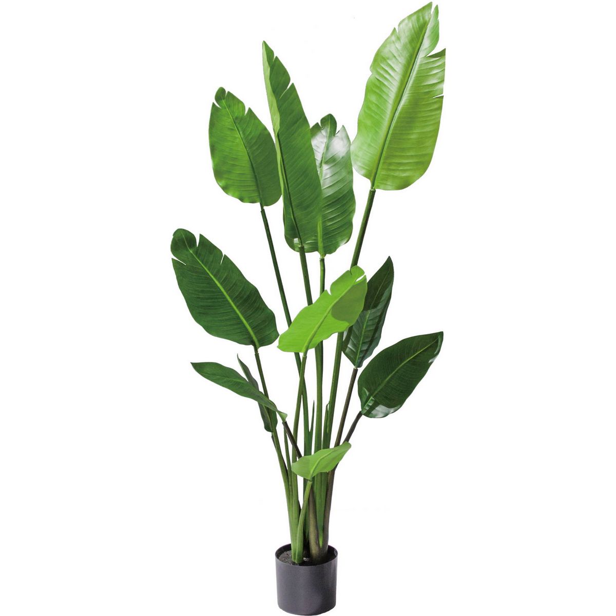 【直送】【人工観葉植物】YDM/120CMオーガスタ グリーン/GLP-1520-GR ※返品代引不可【01】 造花 葉物 フェイクグリーン 人工観葉植物 人工樹木 高さ～150cmおしゃれ インテリア 店舗 オフィス 装飾 ディスプレイ