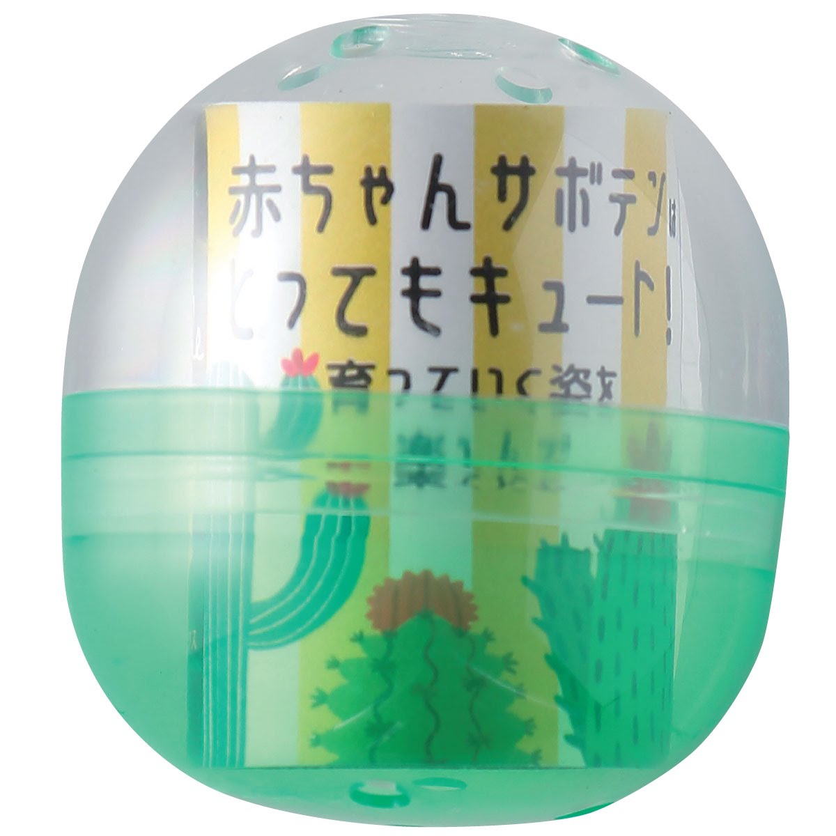楽天市場 Dolabo サボテン栽培カプセル 花サボテンｍｉｘ 01 取寄 30個 花材通販はなどんやアソシエ