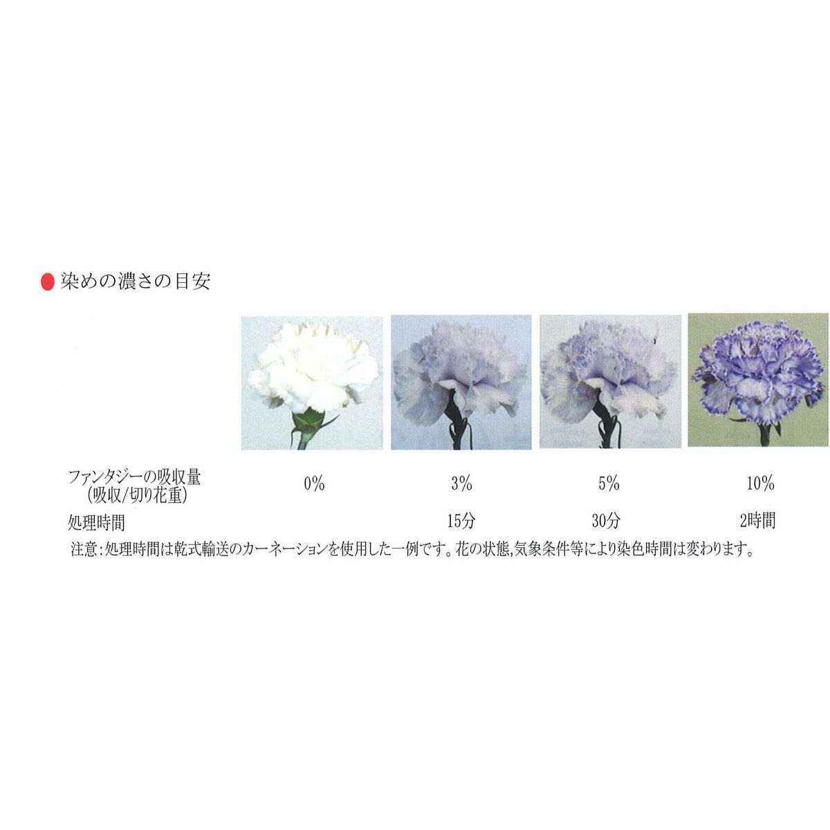 楽天市場 パレス化学 ファンタジー 100ｍｌ ピンク 155 01 取寄 花資材 道具 生花用資材 切花着色剤 手作り 材料 花 材通販はなどんやアソシエ