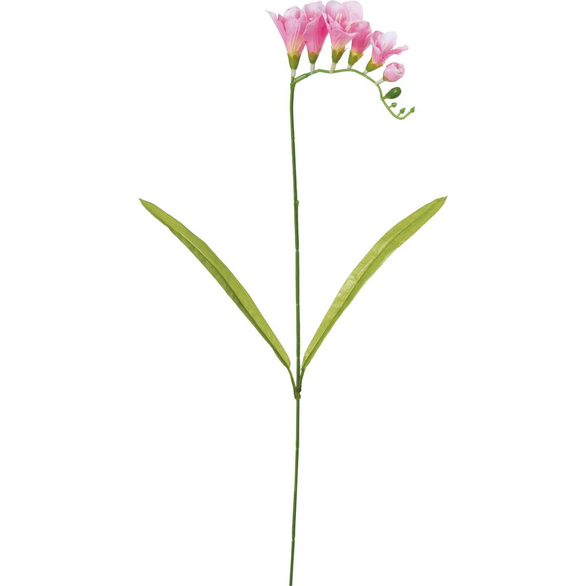 楽天市場 造花 Ydm フリージア ピンク Fs 7918 P 01 取寄 造花 アーティフィシャルフラワー 造花 花材 は行 フリージア 花材通販はなどんやアソシエ